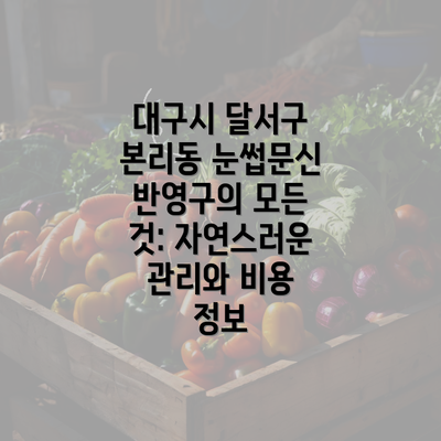 대구시 달서구 본리동 눈썹문신 반영구의 모든 것: 자연스러운 관리와 비용 정보