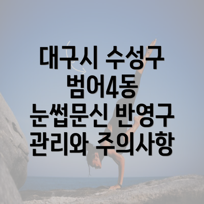 대구시 수성구 범어4동 눈썹문신 반영구 관리와 주의사항