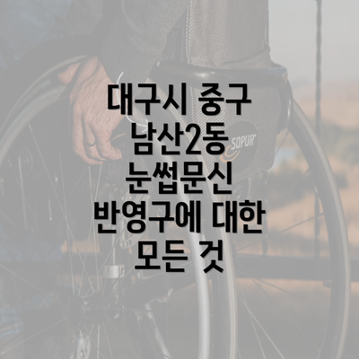 대구시 중구 남산2동 눈썹문신 반영구에 대한 모든 것