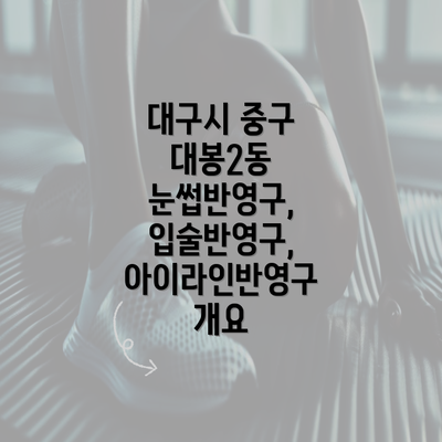 대구시 중구 대봉2동 눈썹반영구, 입술반영구, 아이라인반영구 개요