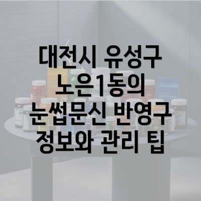 대전시 유성구 노은1동의 눈썹문신 반영구 정보와 관리 팁