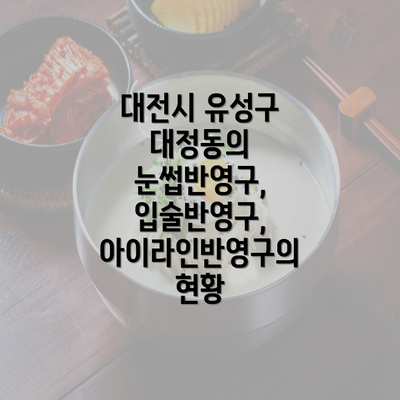 대전시 유성구 대정동의 눈썹반영구, 입술반영구, 아이라인반영구의 현황