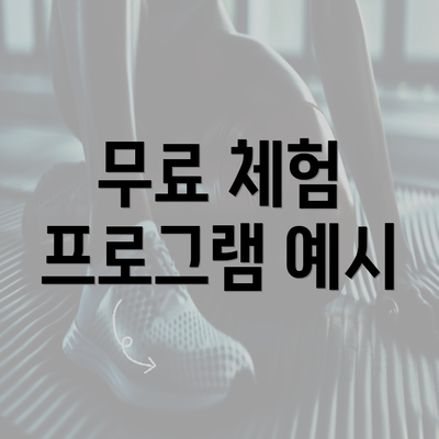 무료 체험 프로그램 예시