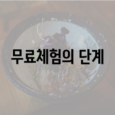 무료체험의 단계