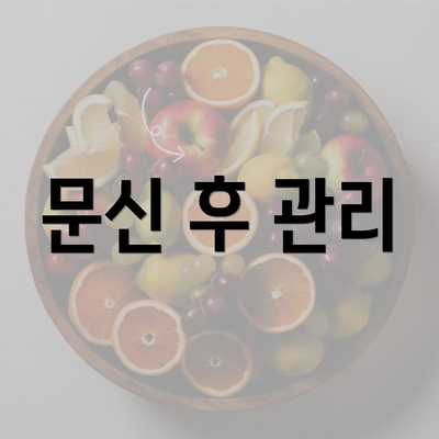 문신 후 관리