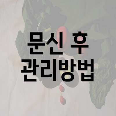 문신 후 관리방법