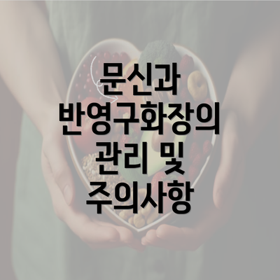 문신과 반영구화장의 관리 및 주의사항