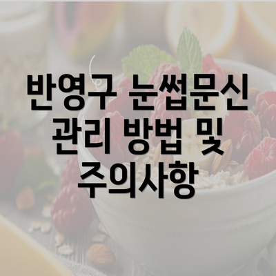 반영구 눈썹문신 관리 방법 및 주의사항