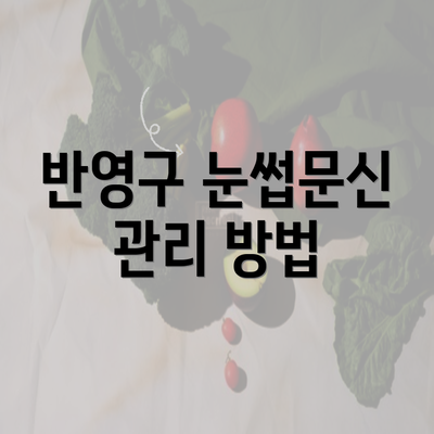 반영구 눈썹문신 관리 방법