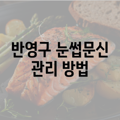 반영구 눈썹문신 관리 방법