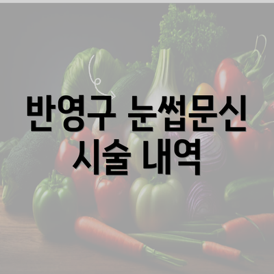 반영구 눈썹문신 시술 내역