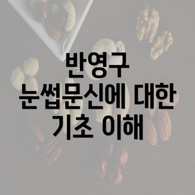 반영구 눈썹문신에 대한 기초 이해