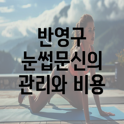 반영구 눈썹문신의 관리와 비용