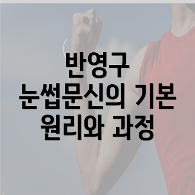 반영구 눈썹문신의 기본 원리와 과정