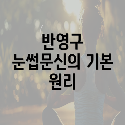 반영구 눈썹문신의 기본 원리