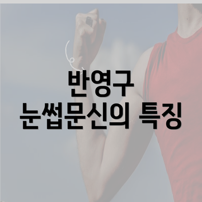 반영구 눈썹문신의 특징