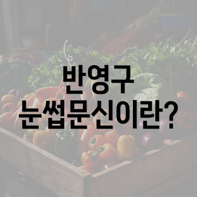 반영구 눈썹문신이란?