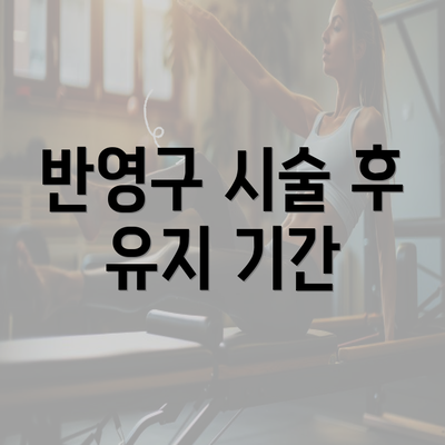 반영구 시술 후 유지 기간