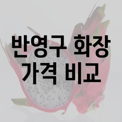 반영구 화장 가격 비교