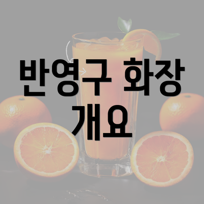 반영구 화장 개요