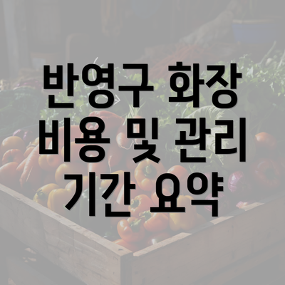 반영구 화장 비용 및 관리 기간 요약