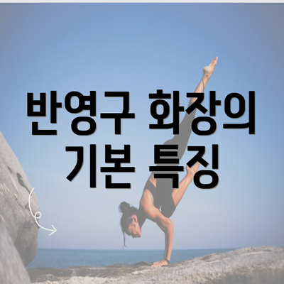 반영구 화장의 기본 특징