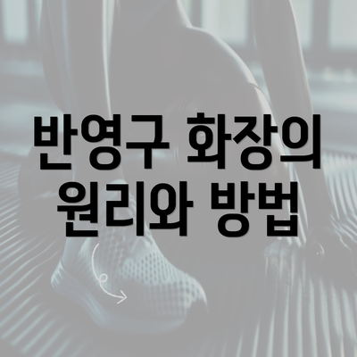 반영구 화장의 원리와 방법