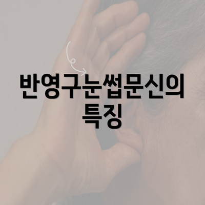 반영구눈썹문신의 특징