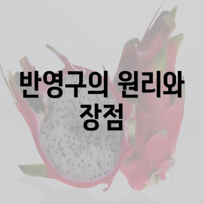 반영구의 원리와 장점