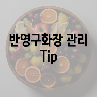 반영구화장 관리 Tip