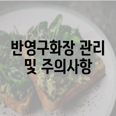 반영구화장 관리 및 주의사항