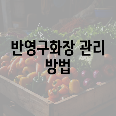 반영구화장 관리 방법