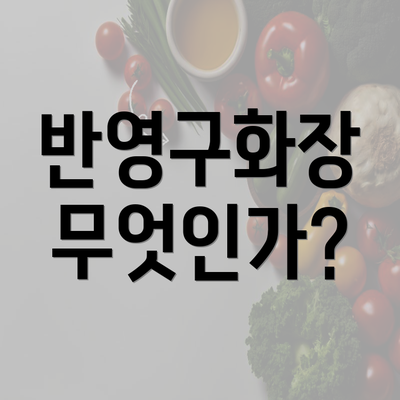 반영구화장 무엇인가?