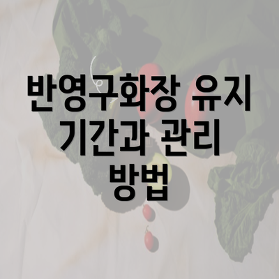 반영구화장 유지 기간과 관리 방법