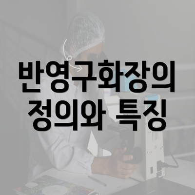 반영구화장의 정의와 특징