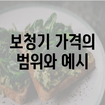 보청기 가격의 범위와 예시