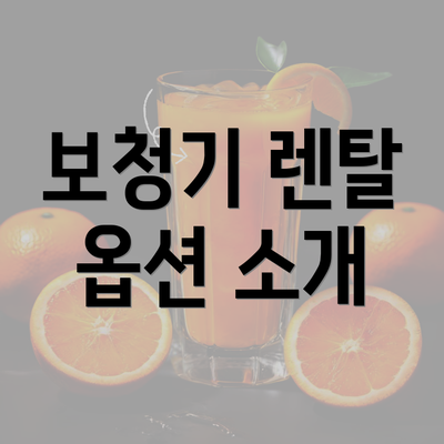 보청기 렌탈 옵션 소개