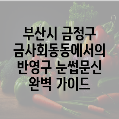 부산시 금정구 금사회동동에서의 반영구 눈썹문신 완벽 가이드