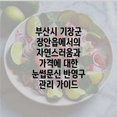 부산시 기장군 장안읍에서의 자연스러움과 가격에 대한 눈썹문신 반영구 관리 가이드