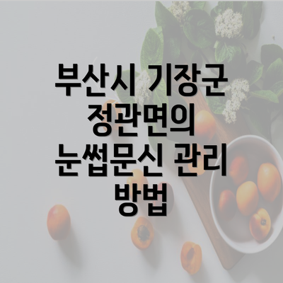 부산시 기장군 정관면의 눈썹문신 관리 방법