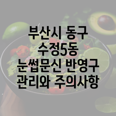 부산시 동구 수정5동 눈썹문신 반영구 관리와 주의사항