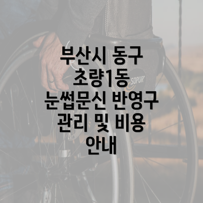 부산시 동구 초량1동 눈썹문신 반영구 관리 및 비용 안내