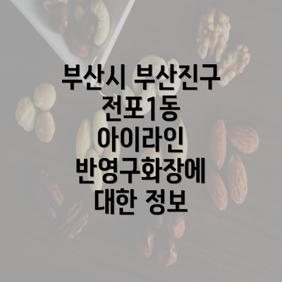 부산시 부산진구 전포1동 아이라인 반영구화장에 대한 정보