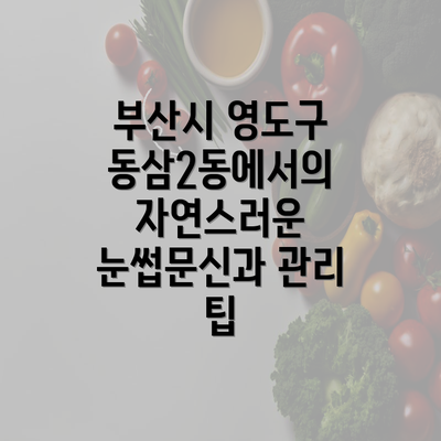 부산시 영도구 동삼2동에서의 자연스러운 눈썹문신과 관리 팁