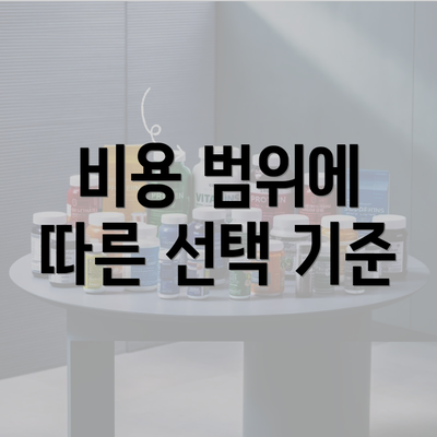 비용 범위에 따른 선택 기준