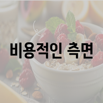 비용적인 측면