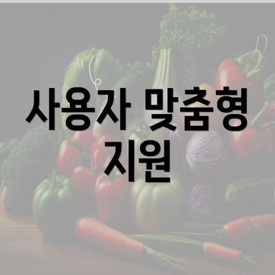 사용자 맞춤형 지원