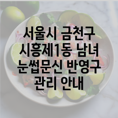 서울시 금천구 시흥제1동 남녀 눈썹문신 반영구 관리 안내