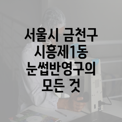 서울시 금천구 시흥제1동 눈썹반영구의 모든 것