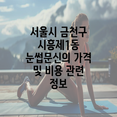 서울시 금천구 시흥제1동 눈썹문신의 가격 및 비용 관련 정보